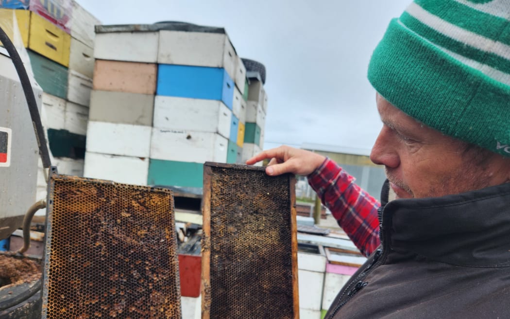 Some hives were flooded during Cyclone Gabrielle and others completely buried in silt.