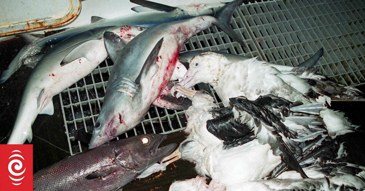 Revised tropical tuna conservation deal a loss to Pacific territories, CNMI says - Vimarsana News