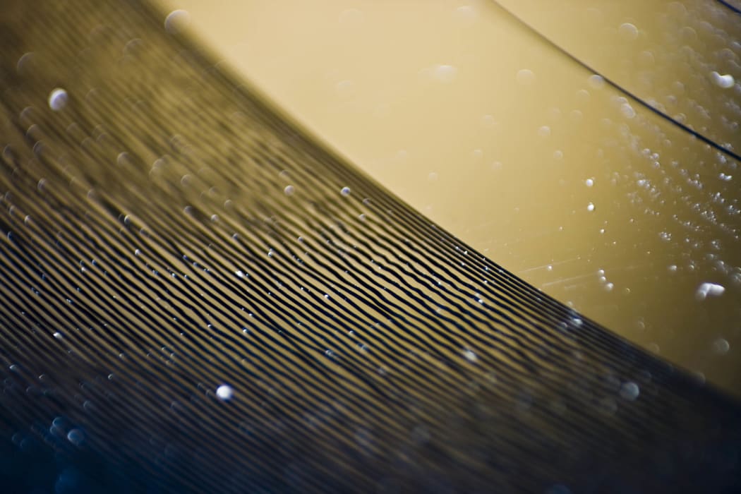 Close-up of grooves on a vinyl record.