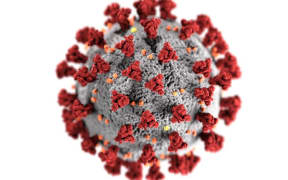 Close up of coronavirus