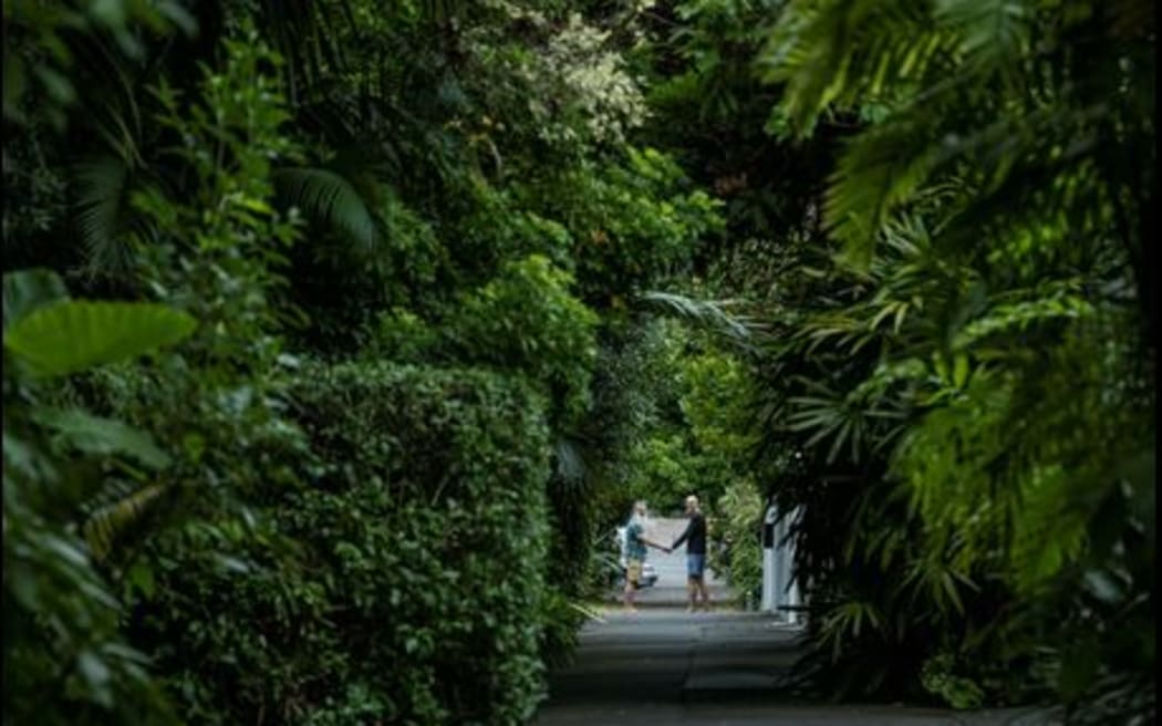 Mark van Kaathoven's Urban Jungle