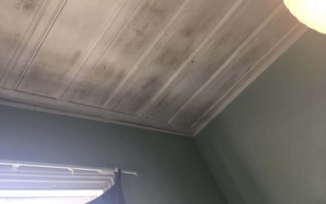 Black mould on the ceiling of a house.