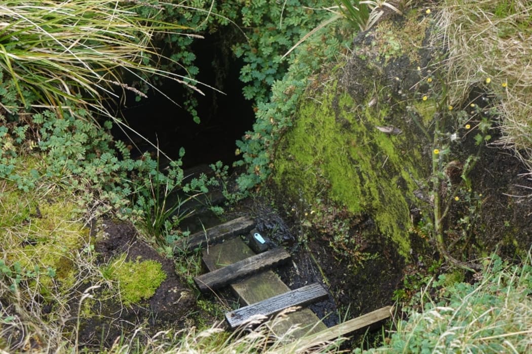 Thomas Burns said he had the privilege of watching a seal pup climb out of a hole using one of the ladders the provided by research students.