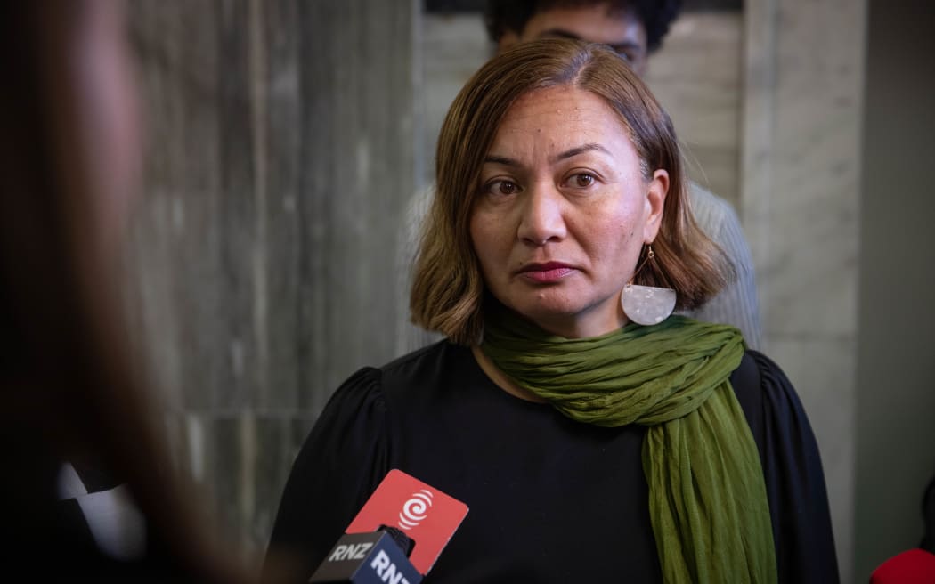 Green Party co-leader Marama Davidson