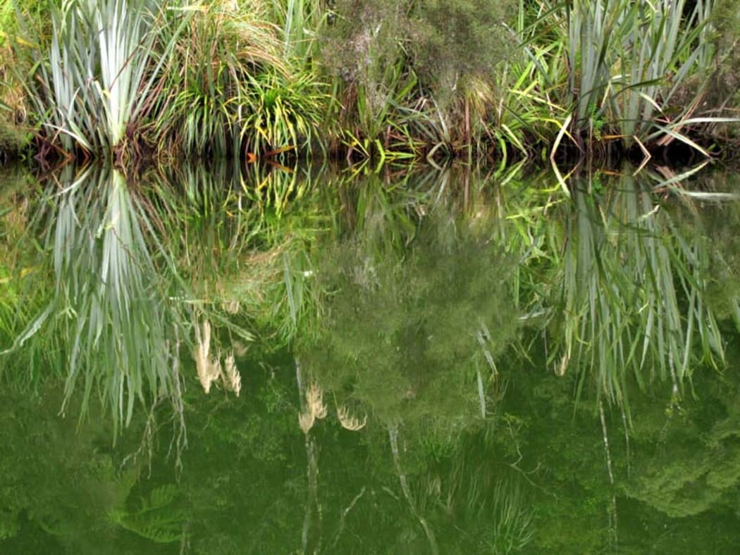 Kayaking Okarito Lagoon—one of 15 reflective journeys in Mark Pickering's new book.