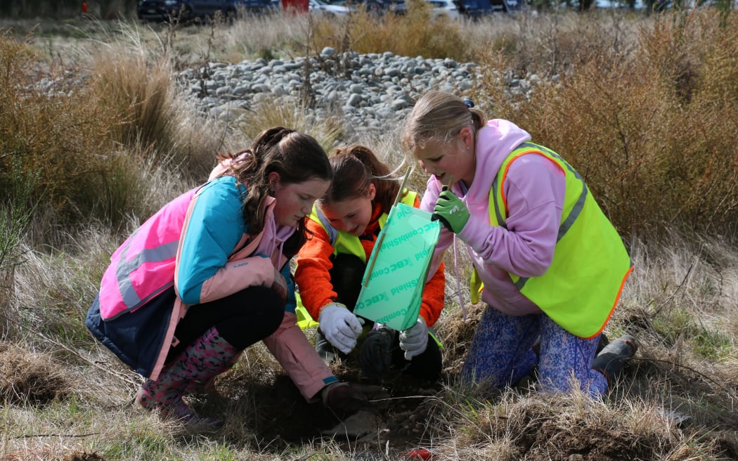 The Eyrewell skink habitat restoration school day
