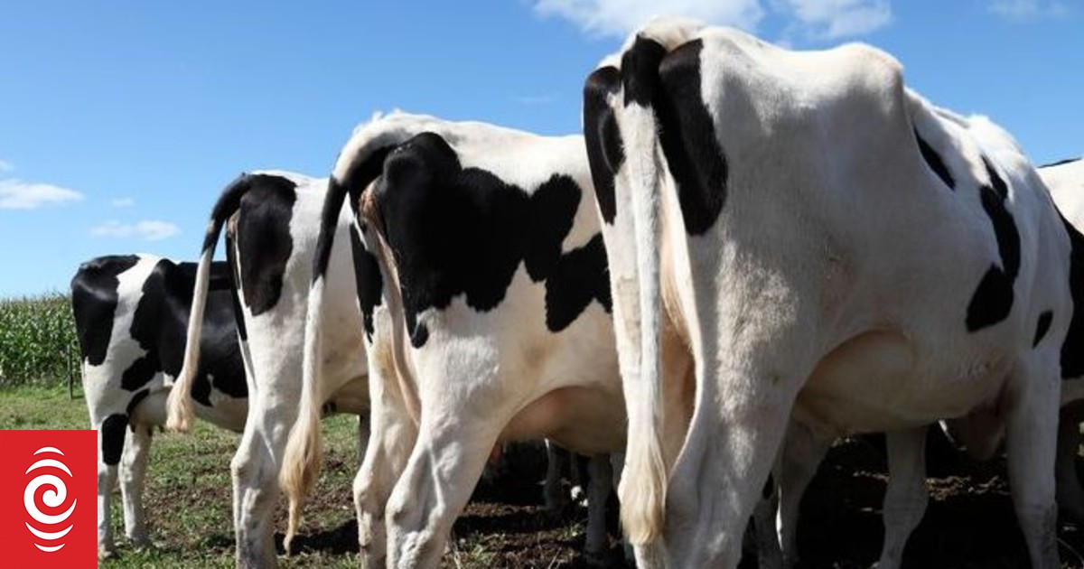 Fuel crisis chance for government to reduce greenhouse gas emissions - scientists