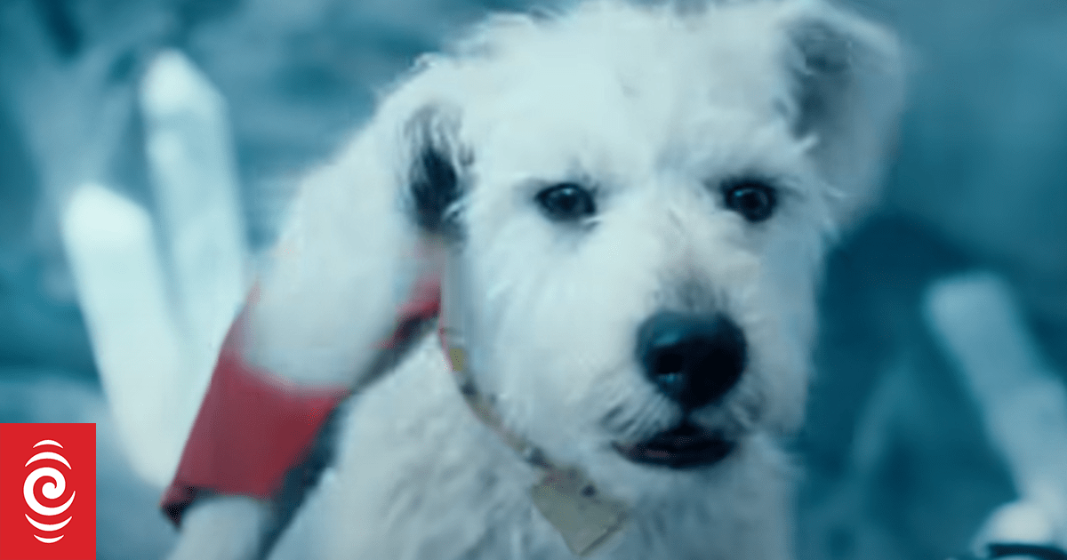 From Fact to Fiction: The True Story That Inspired Superman's Loyal Dog, Krypto