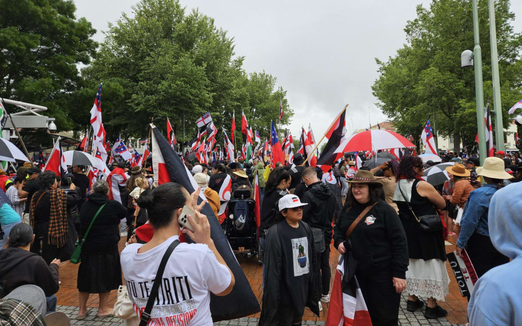 Over 3000 protestors gather as they prepare to march through Hastings during day 6 of Hīkoi mō Te Tiriti.