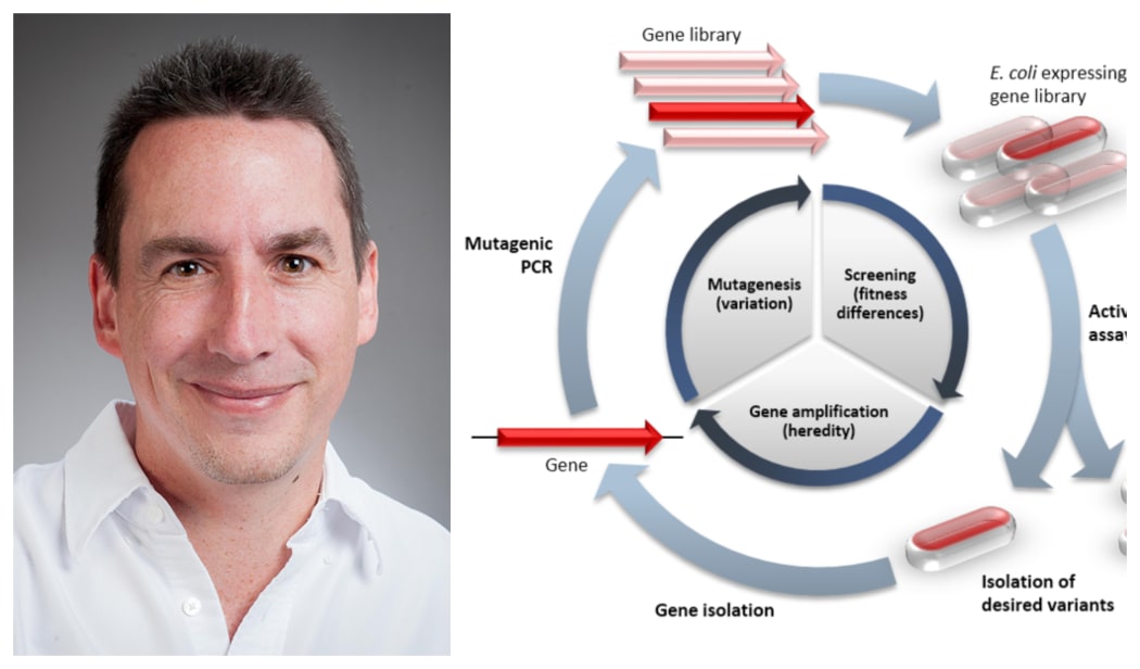 Professor David Ackerley is an expert in engineering enzymes and directed evolution