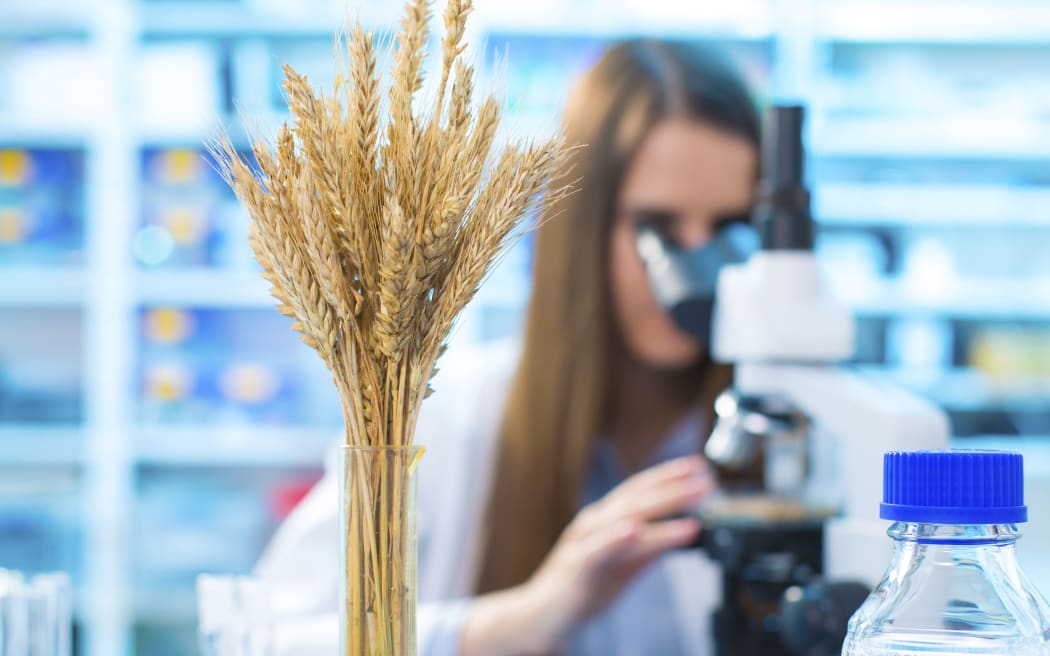 Female nutritionist using microscope in the laboratory.