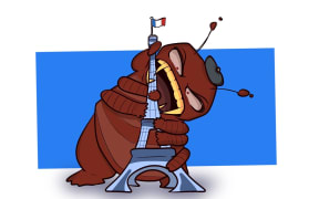 The issue of bedbugs in Paris during the Rugby World Cup has become a talking point. (Illustration)