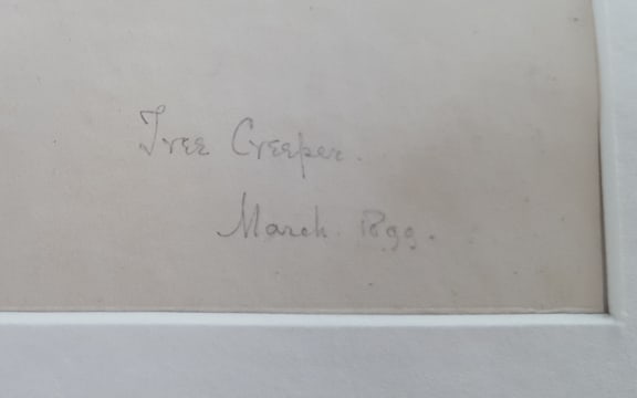 The title, 'Tree Creeper', along with the date, March 1899, in the bottom-right corner of the painting.