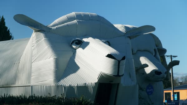 Tirau residents are resisting applications from fast food chains to set up in their small town.
