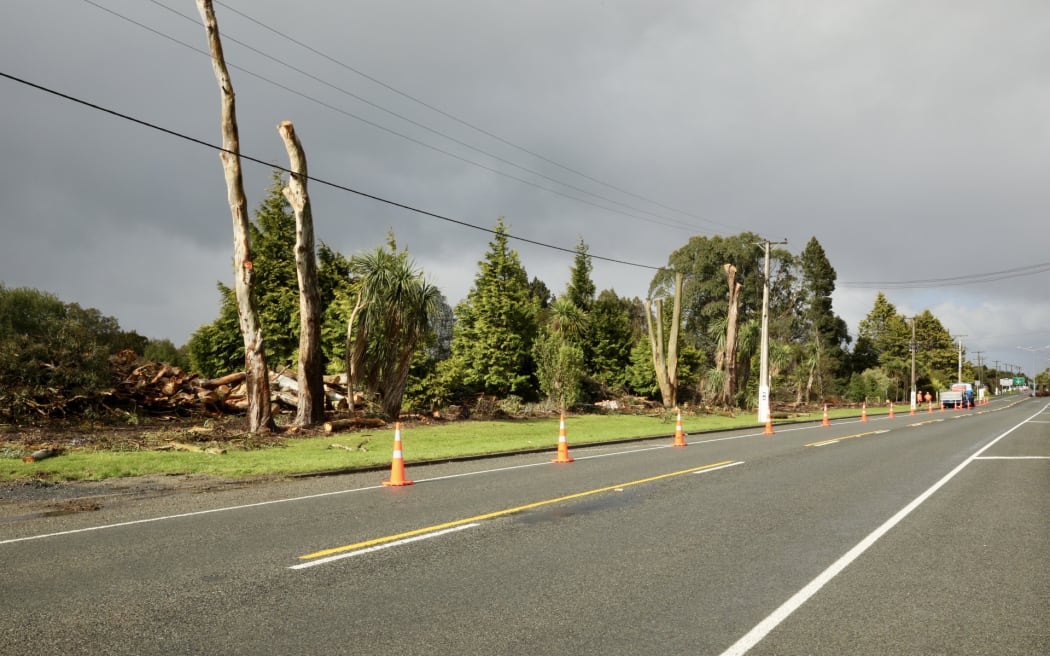 Storm damaged trees storm on East Road, Invercargill, are being felled and cut up, 29 October 2025.