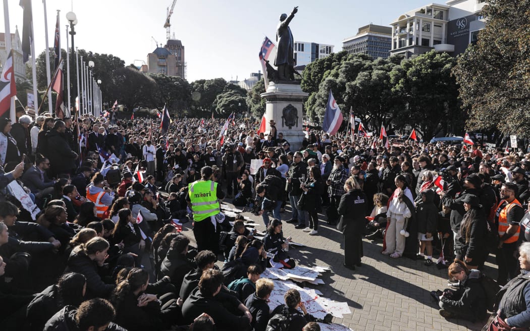 Thousands attended the Budget Day hīkoi protest in Wellington which ended up at Parliament.