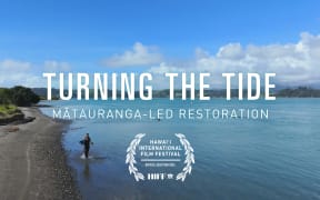 Coastline scene with a person in the shallows holding up an impressive fish. Text reads "Turning The Tide: Mātauranga-led restoration"
 Underneath is a laurel with the text “Hawai’i international film festival official selection 2024 HIFF”