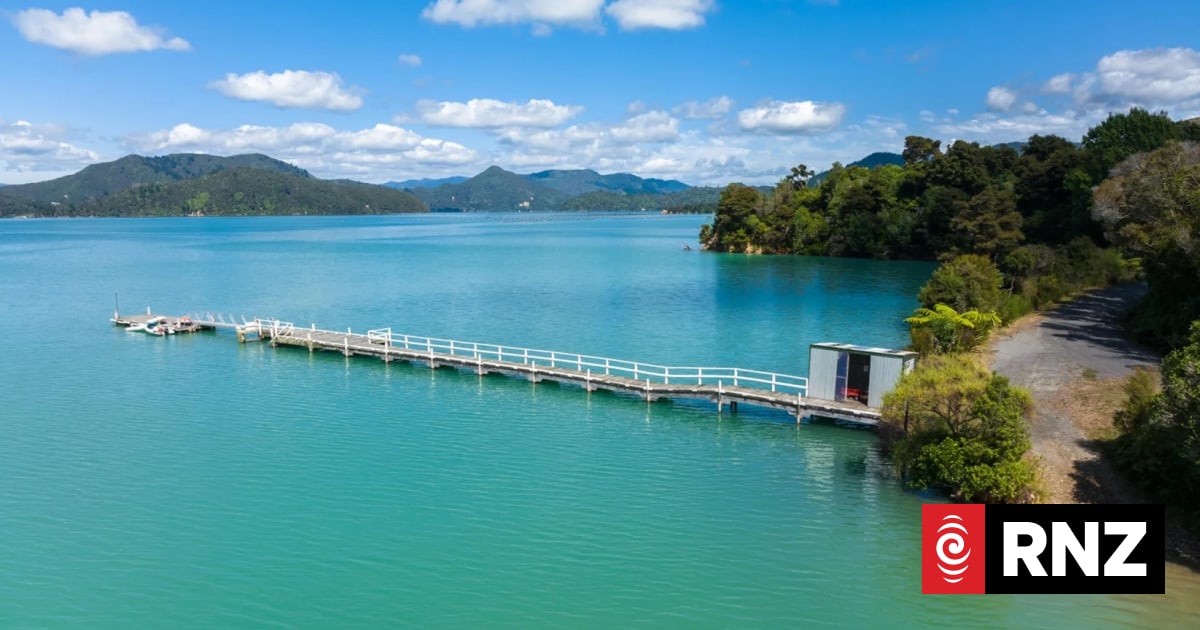 Jetty in Marlborough Sounds closes after 'high risk' to public | RNZ