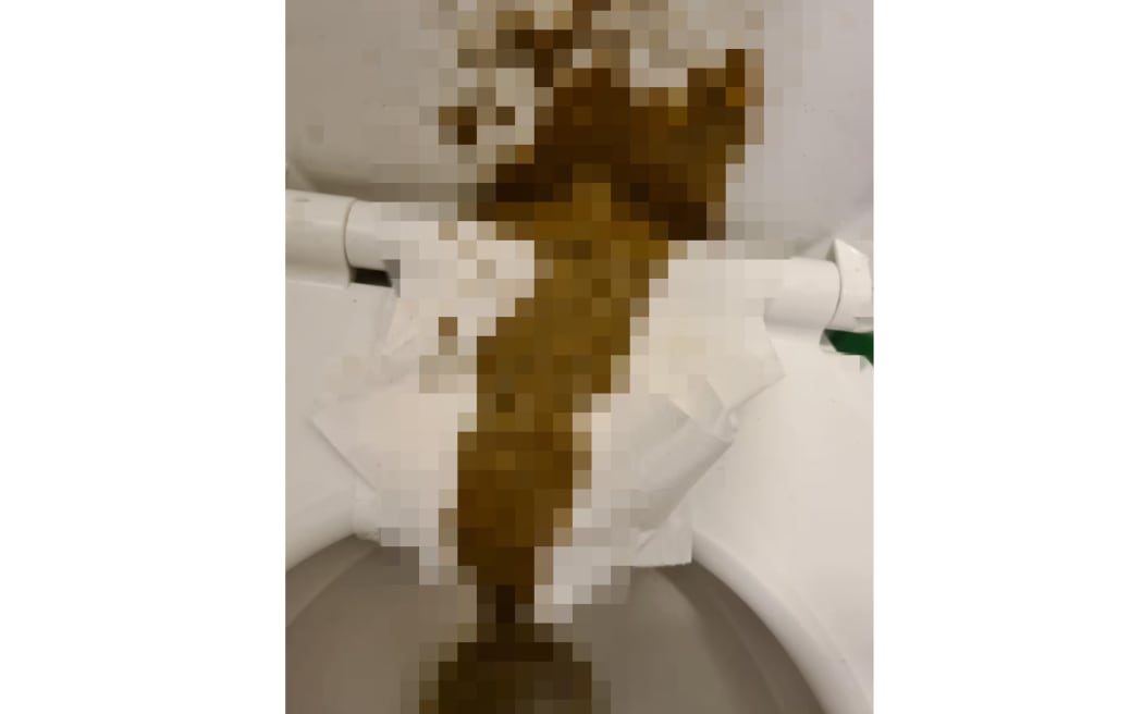 Christopher Schwartz, the bankrupt head of Christchurch car dealership ISeeCars Ltd, was taken to the Motor Vehicle Disputes Tribunal last year after he pocketed a $15,000 refund owed to a customer and then sent them photos of excrement when they complained.