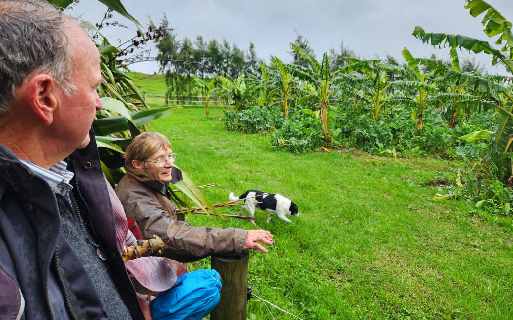 Phil and Jenny Grainger looking out over their growing banana farm, fuelled with food scraps