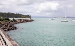 Kennedy Point, Waiheke