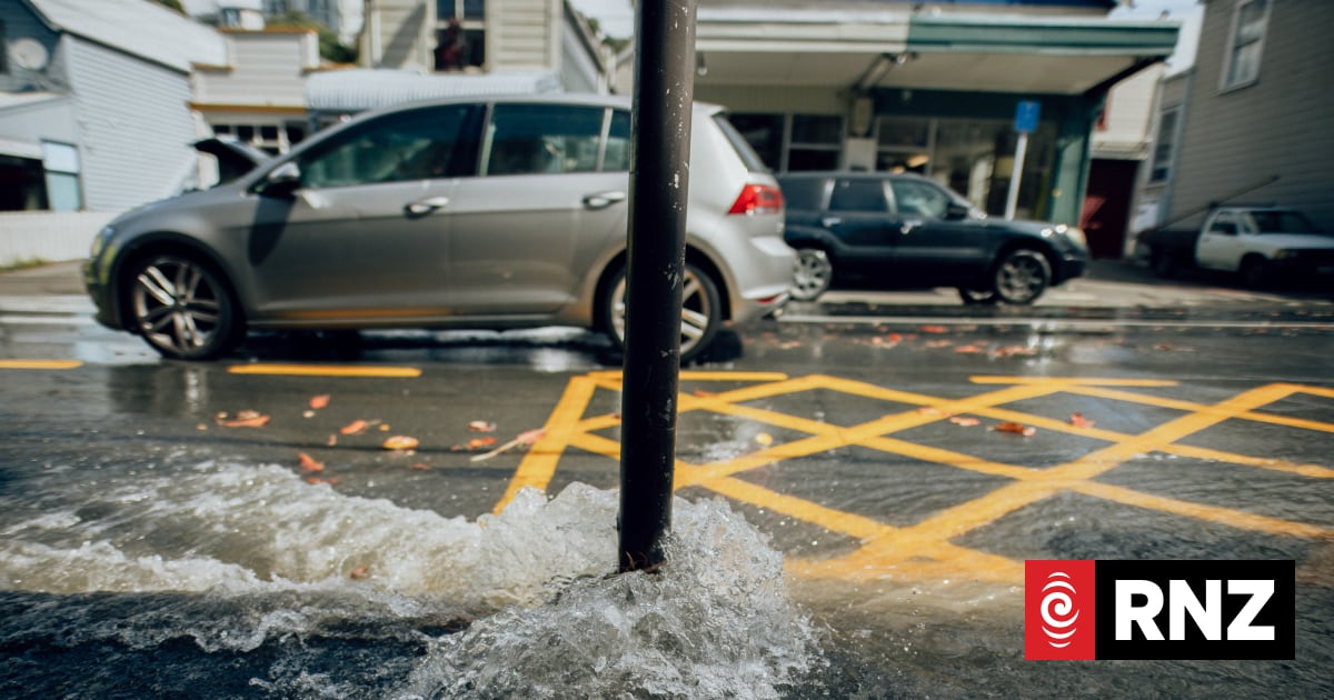 How much you'll be paying under Wellington's new water regime