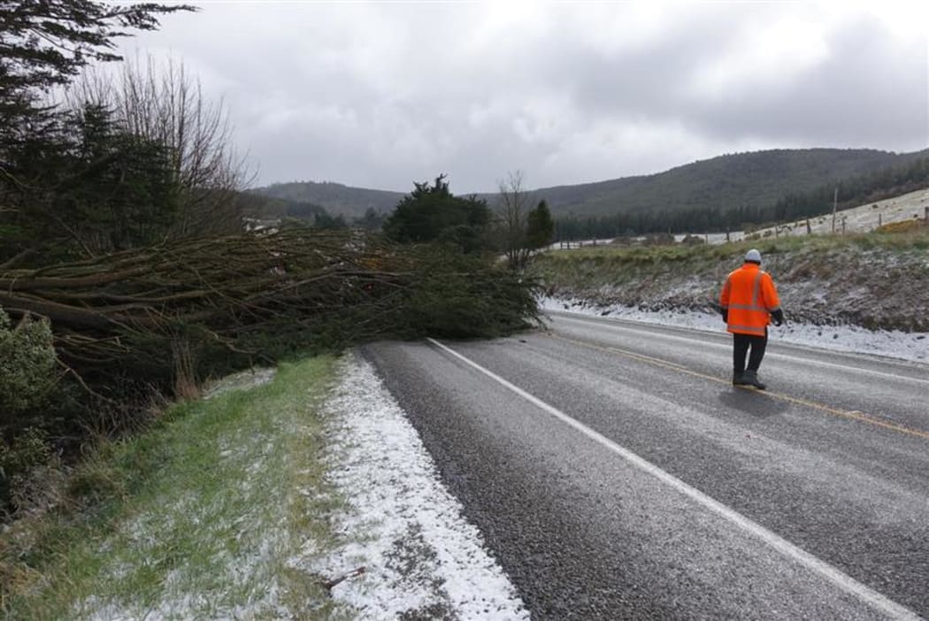 Wild weather has brought a tree down across SH1 north of Dunedin.