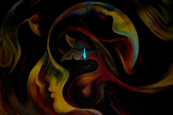 Philipp Egger's picture of a kingfisher flying over a piece of artwork won Creative Perspectives.