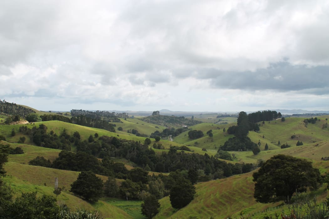View from Pekerau Hills