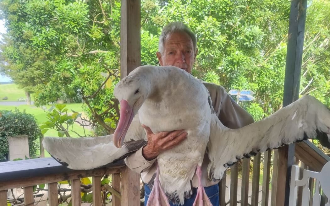 Whangārei Native Bird Recovery Centre founder Robert Webb with one of his patients.
