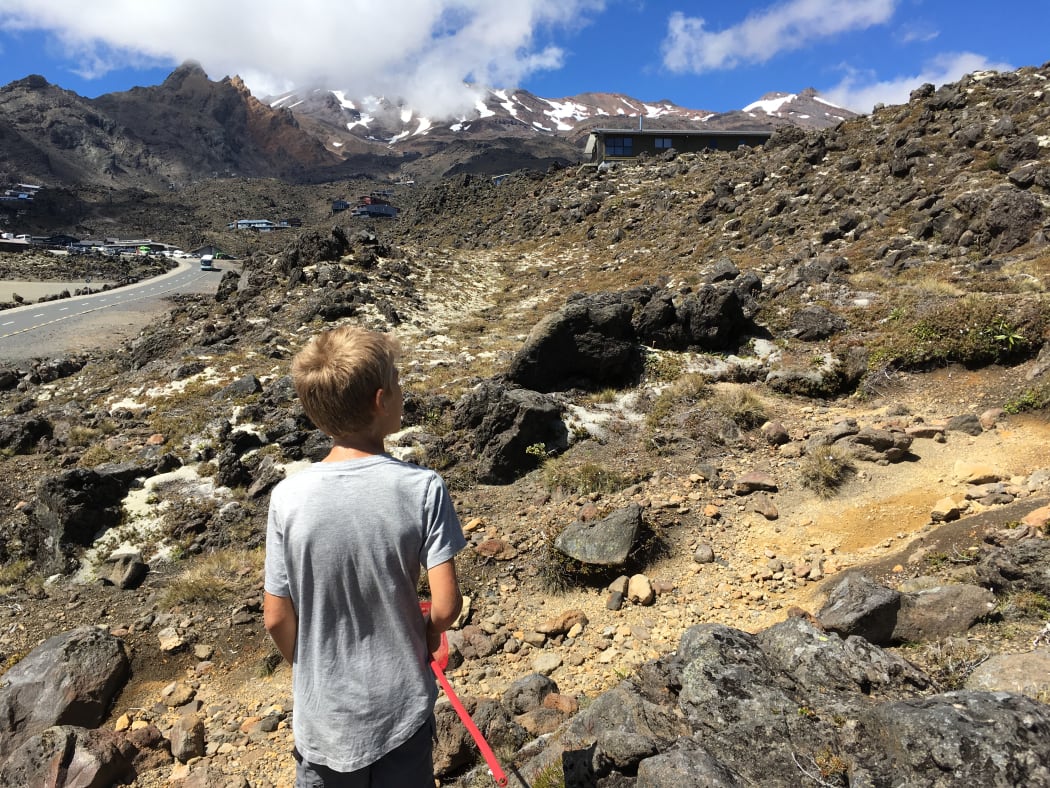 Olly Hills searching on Mount Ruapehu for Campbell's, Hamilton's and screaming cicadas.