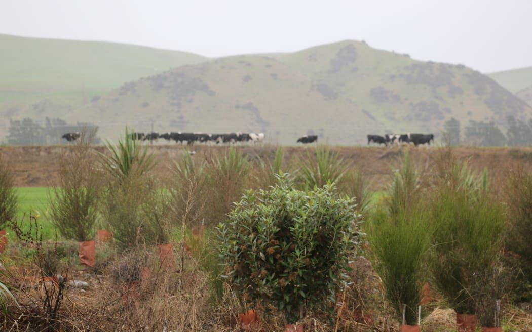 Mahinga kai site