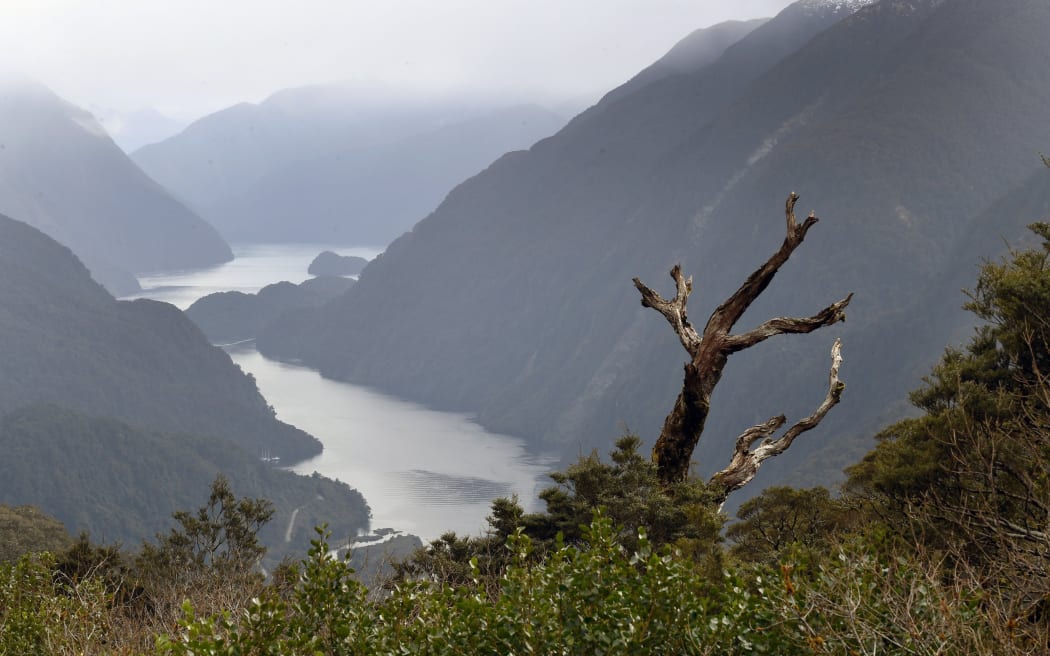 Doubtful Sound, Fiordland. A governance group fears for the future of certain fish stocks in the region.