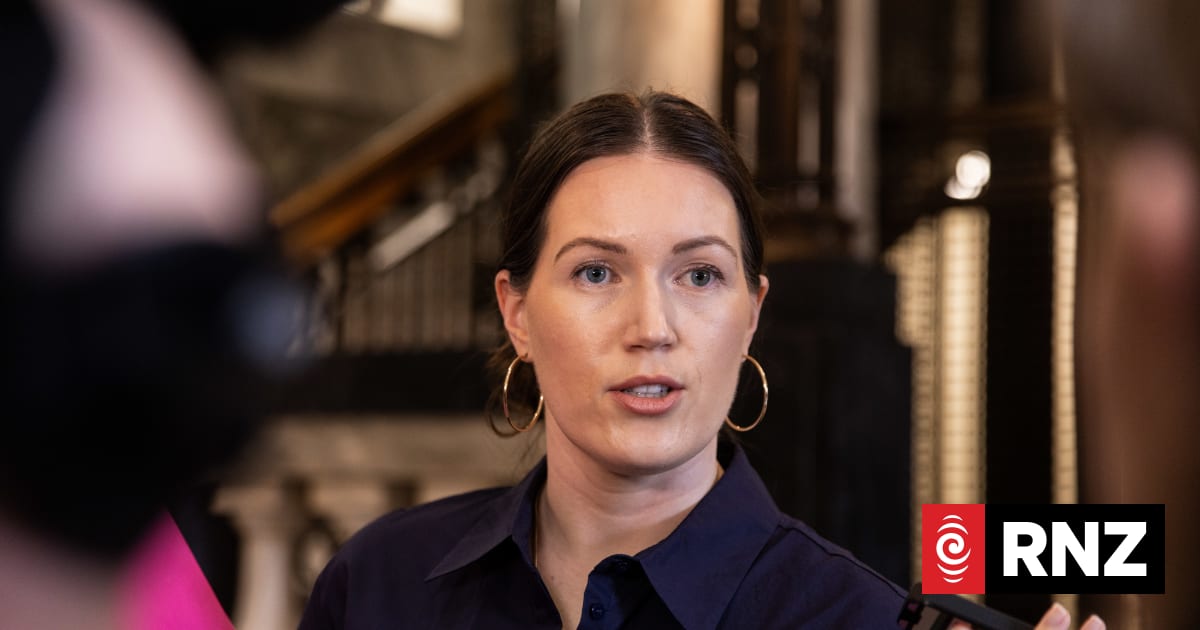Van Velden rebuffs NZ First's 11th-hour 'politicking' on health and safety overhaul