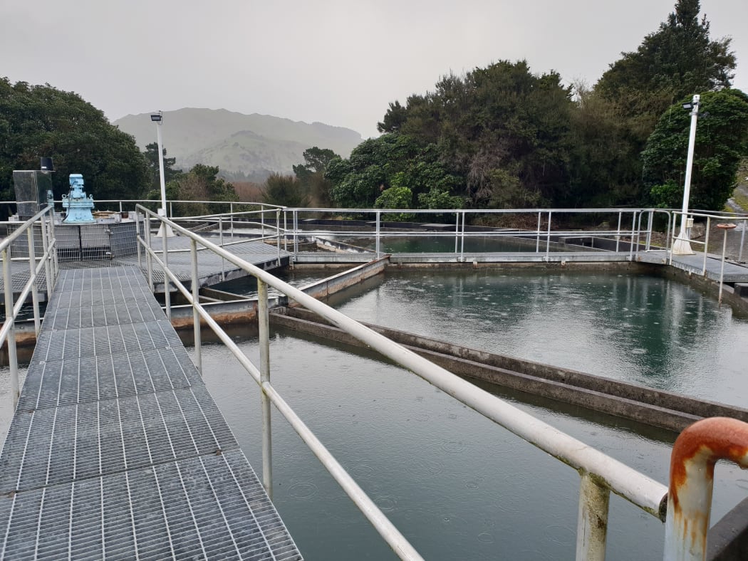 Masterton's water plant
