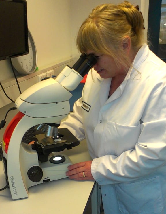 Wine-maker and oenologist Kirsten Creasy examines a yeast colony under a microscope. She is using DNA testing to work out what yeasts, bacteria and allergens are present in wine.