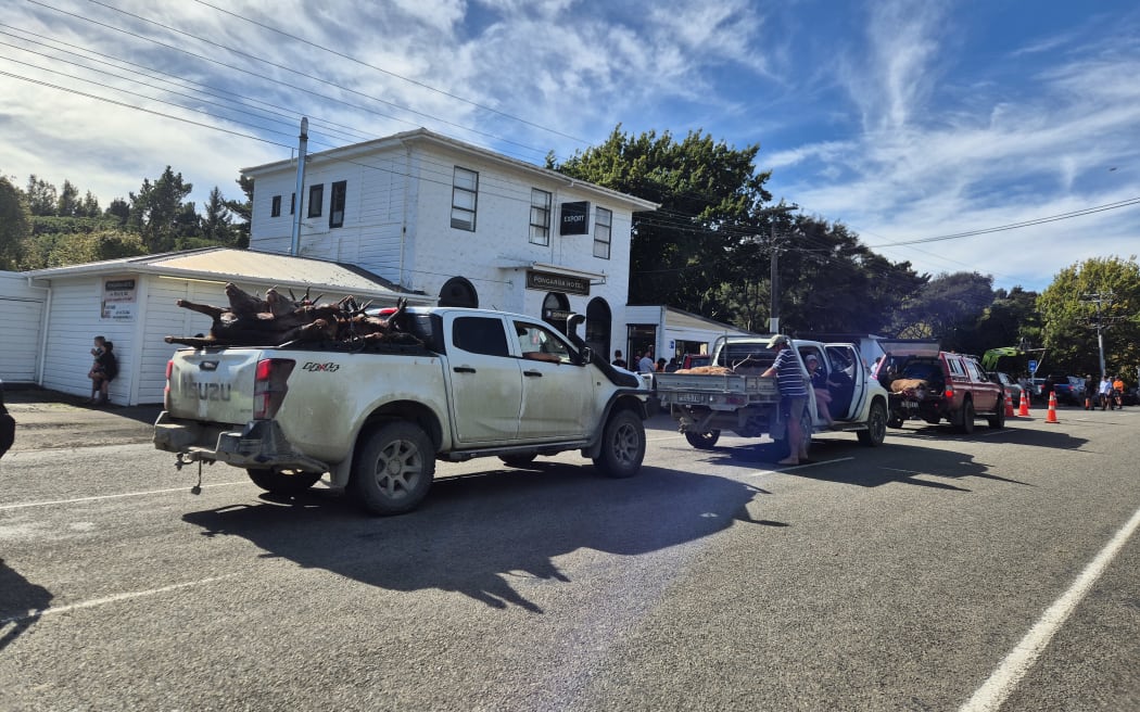 There's a steady stream of utes winding down the usually quiet main street of Pongaroa, waiting their turn to have their game weighed as part of the Pongaroar hunting competition.