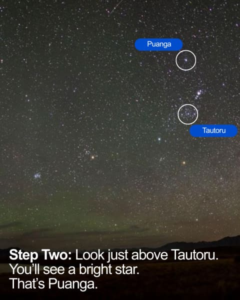 A visual guide for how to find the stars of Matariki.