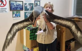 Robyn Webb with a rescued mollymawk.