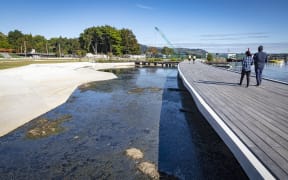 Lake weed on a lakefront development in  Rotorua is causing a nasty smell.