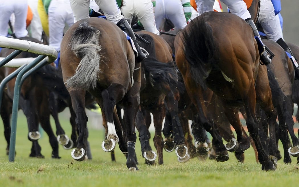 The case has been labelled the biggest scandal in Australian horse racing.