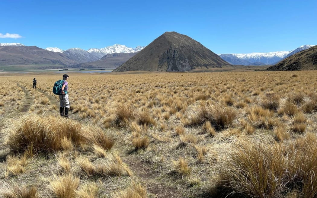 Trampers heading from Lake Heron to Double Hut, with Mt Sugarloaf to the right, which features as part of the Te Araroa Trail.