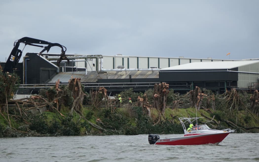 Taranaki Regional Council staff patrol Waitara River while 23 pohutakawa are removed to make way for a $3 million flood protection scheme.