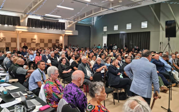 More than 74 iwi groups are represented at this hui.