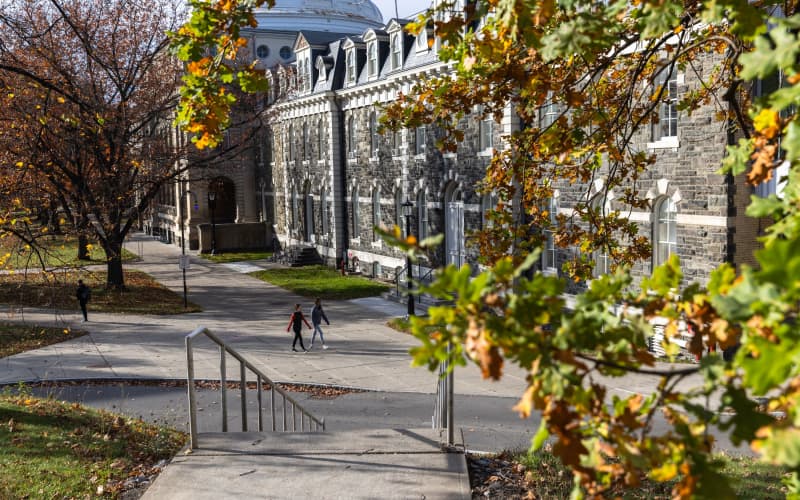 New York prosecutors reopen investigation after student files lawsuit ...