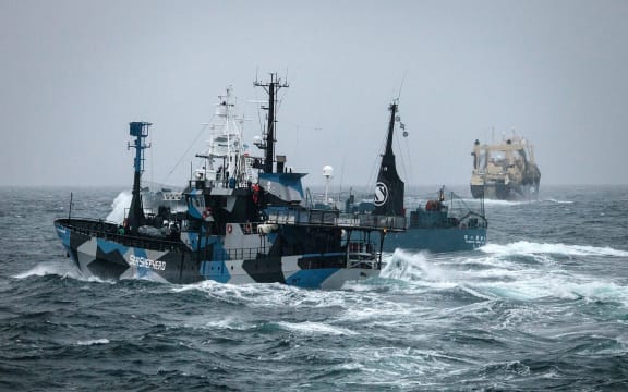 A Japanese whaling vessel near the Bob Barker.