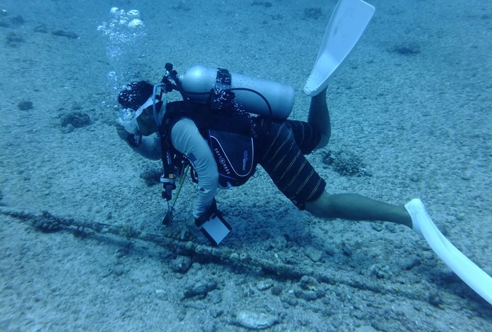 An IT&E diver checks an undersea fibre optic cable