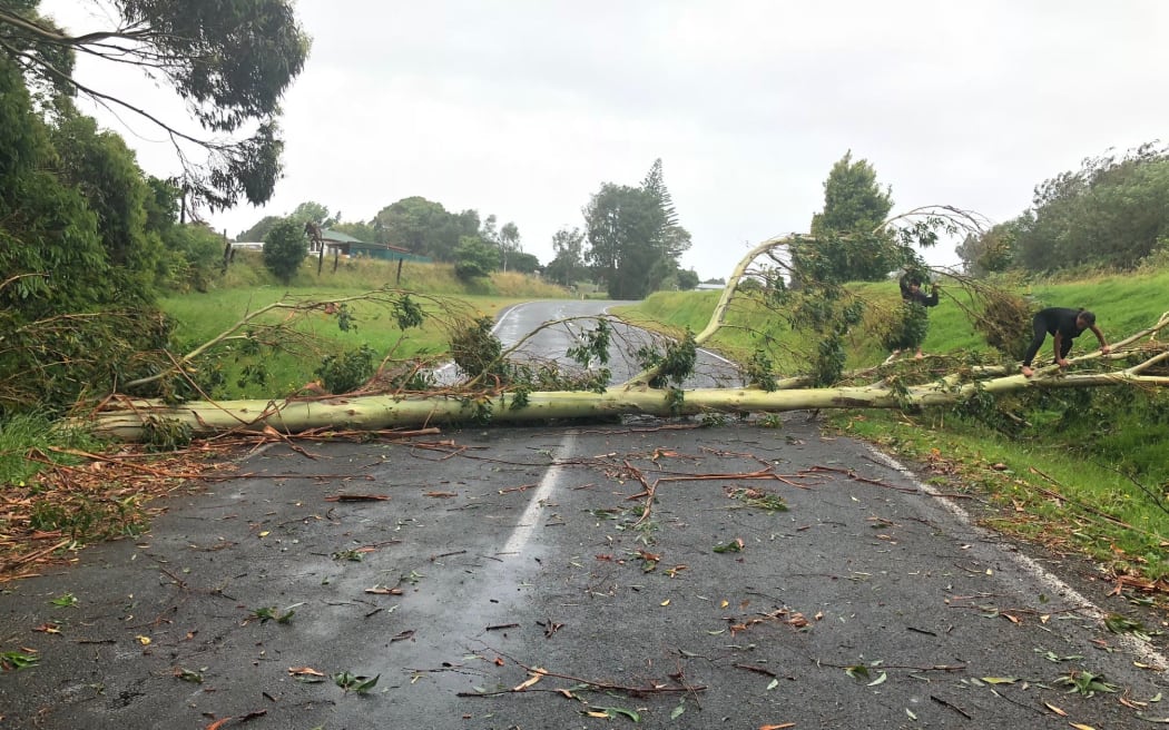 A tree blocks Matapihi Station Road in Tauranga