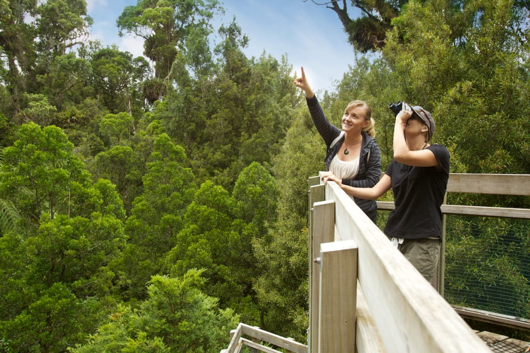 Maungatautari Reserve Hicks Road track reopens RNZ News