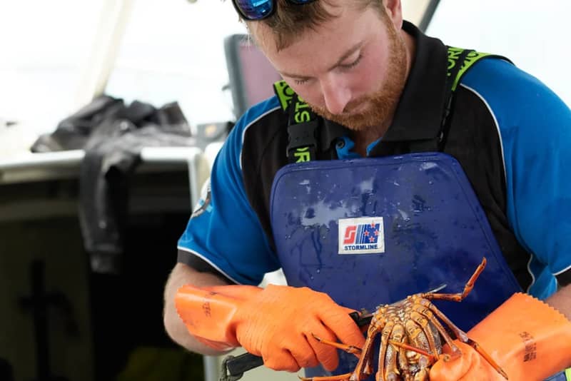 Johnny Clark catches all the crayfish he sells at Nins Bin.